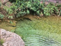 -南海湾森林生态园