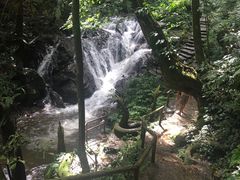 -莫里热带雨林景区