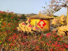 -盈香心动乐园