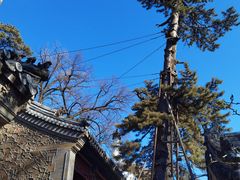 -潭柘寺景区