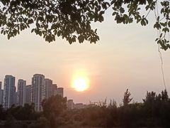 -五缘湾湿地公园