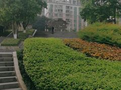 -龙头寺公园