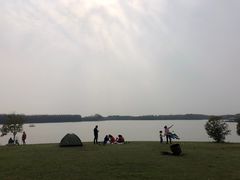 -上海海湾国家森林公园