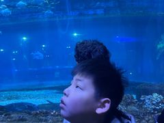 -华夏文旅海洋公园