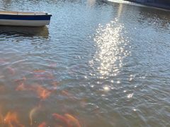 -春晖园度假酒店温泉