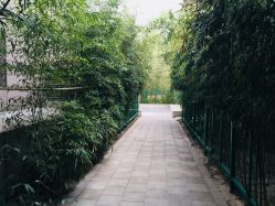 -北京英煌医疗美容