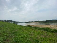 -蓝记云吞(正果店)