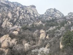 -北京凤凰岭