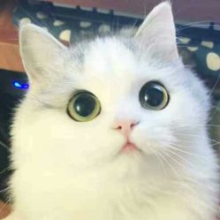 -梵梦影像馆(绿博园店)