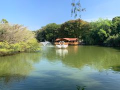 -深圳野生动物园