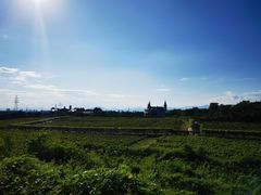 -北京张裕爱斐堡酒庄