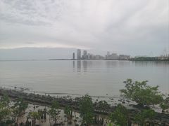 -万绿园