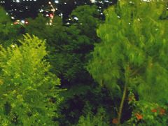 -神光山国家森林公园