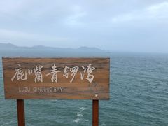 -杨梅坑