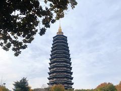 -红梅公园