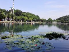 -南京珍珠泉风景区