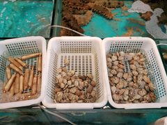 -中苑海韵