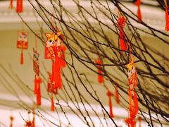 -LONG BAR 廊吧(外滩华尔道夫酒店)