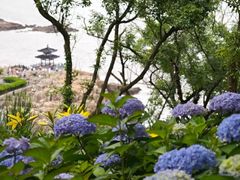 -星巴克(舟山蜈蚣峙店)