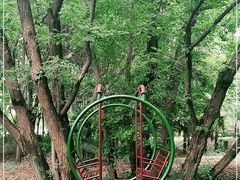 -东湖落雁景区