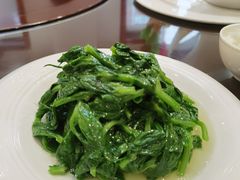 清炒豆尖-峨嵋酒家总店(车公庄店)