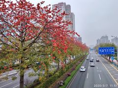 -文华公园(禅城区)