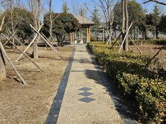 -洛阳古墓博物馆