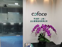 -科法斯（上海）信息服务有限公司