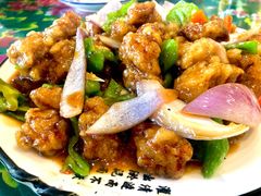 -东北王食府(科大店)