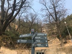 -延安杨家岭革命旧址