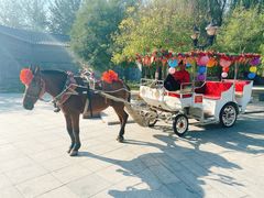 -杨柳青庄园