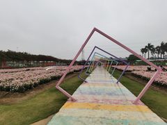 -盈香心动乐园