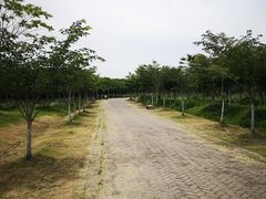 -上海海湾国家森林公园