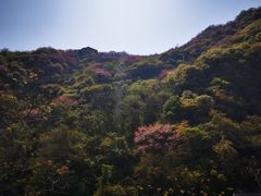 -沣峪口