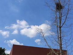 -南京特殊教育师范学院(燕子矶校区)