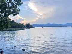 -西湖外事游船(湖滨二公园外事游船码头)