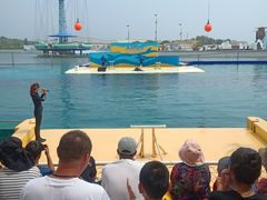 -秦皇岛乐岛海洋王国