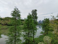 -怡海公园(桂城街道)