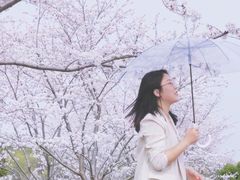 -羊山湖公园