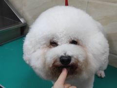 -安安宠医·安宠宠物医院