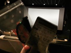 -百美汇影城(LUXE嘉里中心店)