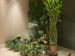 -丽思卡尔顿酒店泳池(金融街店)