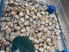 -圣罗巴甄选自助(麦凯乐店)