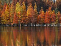 -白鹭湾湿地公园