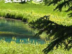 -白鹭湾湿地公园