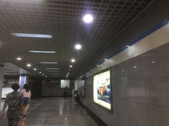 -陆家浜路(地铁站)