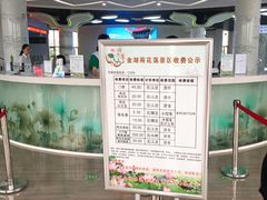 -荷花荡