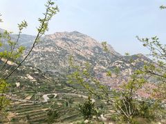 -崂山仰口游览区