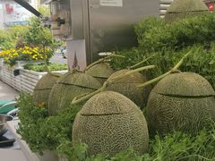 -长春香格里拉
