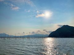 -北岐滩涂